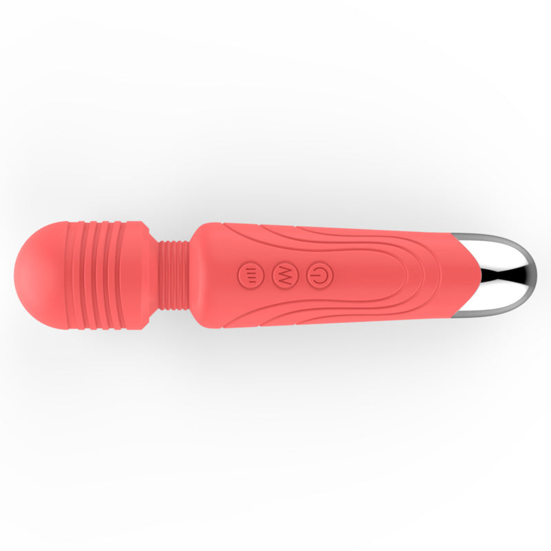 Guard Wand Massager